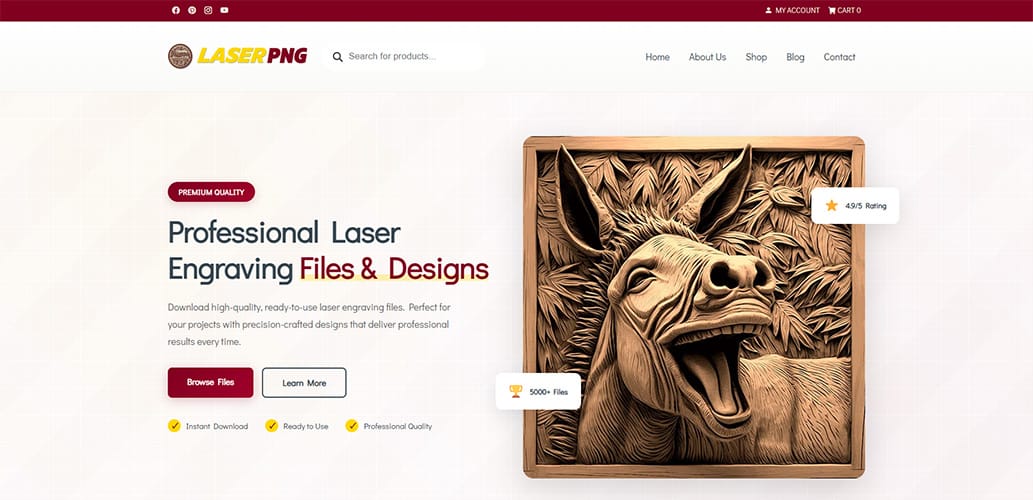 Laser PNG - WooCommerce Development